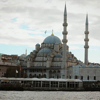 V2ray Dog | 10月10日22M/S|免费Singbox节点/Shadowrocket节点/V2ray节点/SSR节点/Clash节点节点推荐，线上V2ray机场订阅购买推荐