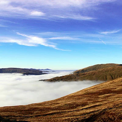 免费代理节点 | 9月18日18.7M/S|免费Shadowrocket节点/V2ray节点/Clash节点/SSR节点推荐，在线Clash机场梯子购买推荐
