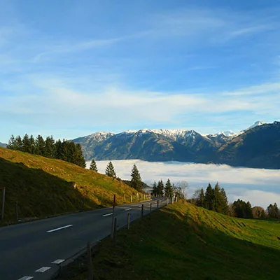 V2ray Dog | 10月11日22.2M/S|免费Singbox节点/Clash节点/Shadowrocket节点/SSR节点/V2ray节点节点推荐，线上V2ray机场订阅购买推荐