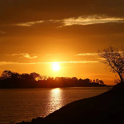 V2ray Dog | 10月16日22.5M/S|免费V2ray节点/Clash节点/Singbox节点/Shadowrocket节点/SSR节点节点推荐，线上V2ray机场订阅购买推荐