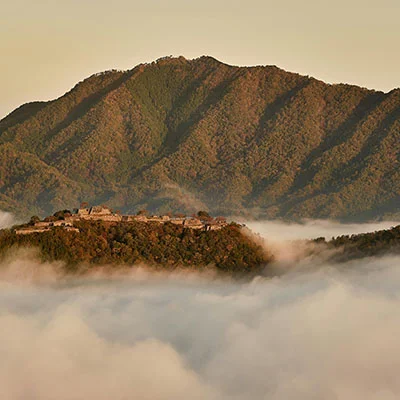 V2ray Dog | 10月24日22.1M/S|免费SSR节点/Singbox节点/Clash节点/Shadowrocket节点/V2ray节点节点推荐，线上V2ray机场订阅购买推荐