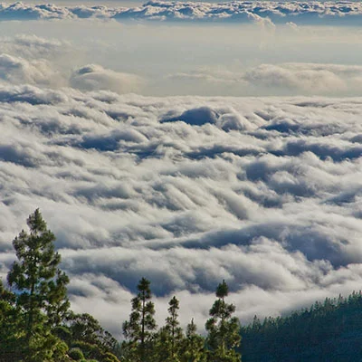 V2ray Dog | 10月12日21.3M/S|免费Clash节点/Singbox节点/V2ray节点/Shadowrocket节点/SSR节点节点推荐，线上V2ray机场订阅购买推荐