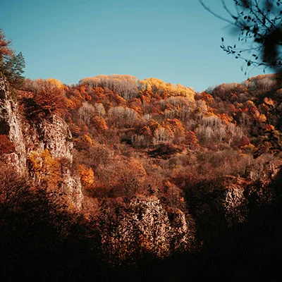 V2ray Dog | 10月5日22.6M/S|免费Clash节点/Singbox节点/SSR节点/Shadowrocket节点/V2ray节点节点推荐，线上V2ray机场订阅购买推荐