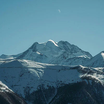 V2ray Dog | 10月17日22.1M/S|免费Singbox节点/SSR节点/Clash节点/Shadowrocket节点/V2ray节点节点推荐，线上V2ray机场订阅购买推荐