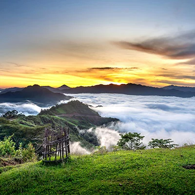 V2ray Dog | 10月22日21.7M/S|免费SSR节点/Clash节点/Singbox节点/Shadowrocket节点/V2ray节点节点推荐，线上V2ray机场订阅购买推荐