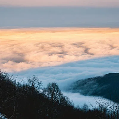 V2ray Dog | 10月21日19.7M/S|免费Singbox节点/V2ray节点/Clash节点/Shadowrocket节点/SSR节点节点推荐，线上V2ray机场订阅购买推荐